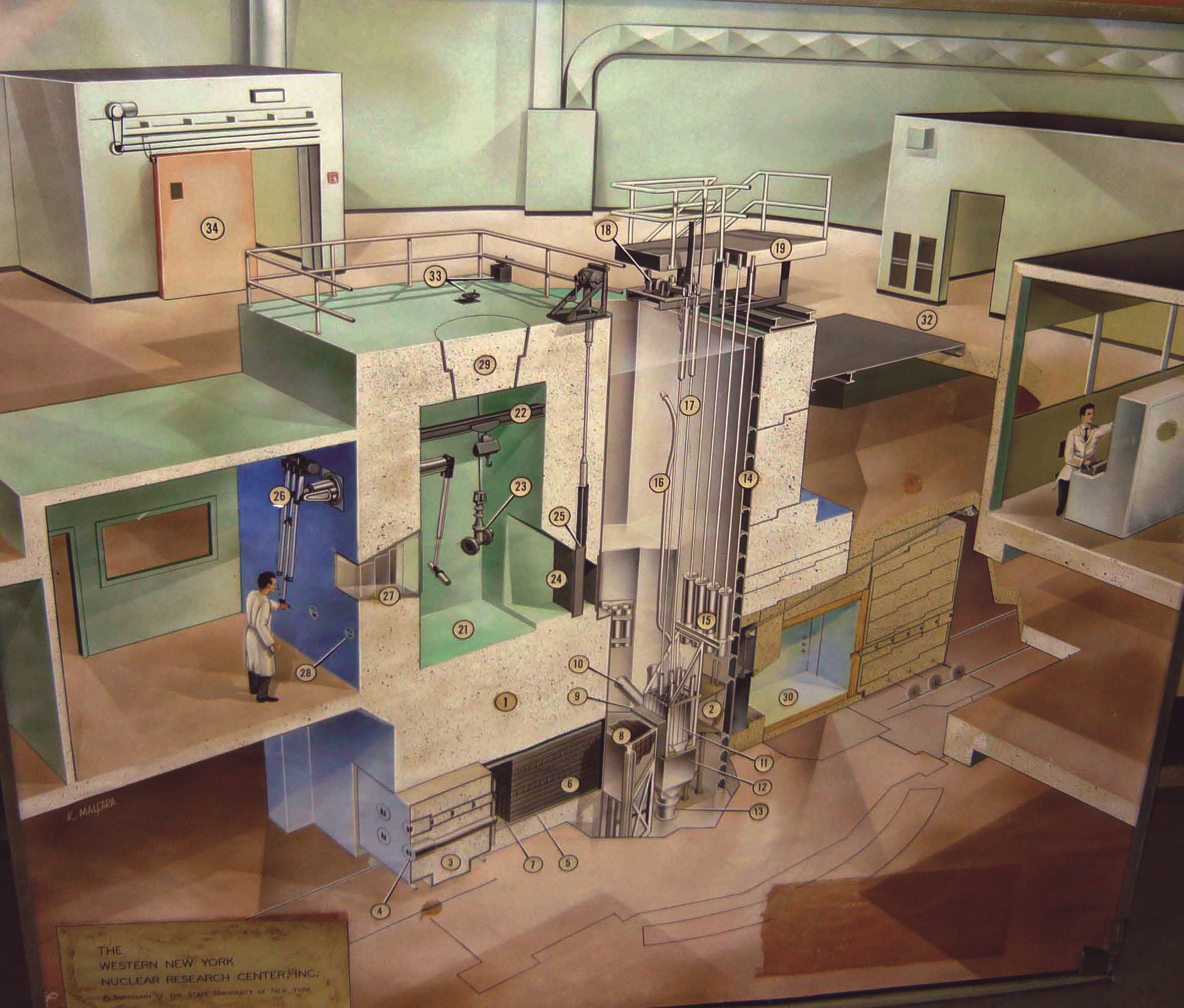 U at Buffalo BMRC Cutaway