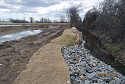 environmental-services